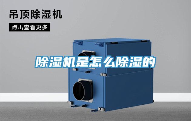 草莓视频污污污污是怎麽除濕的