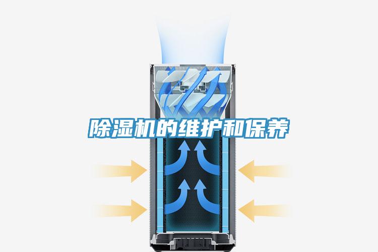 草莓视频污污污污的維護和保養