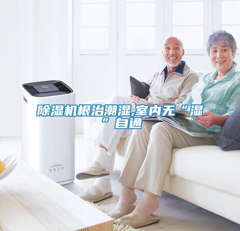 草莓视频污污污污根治潮濕,室內無“濕”自通