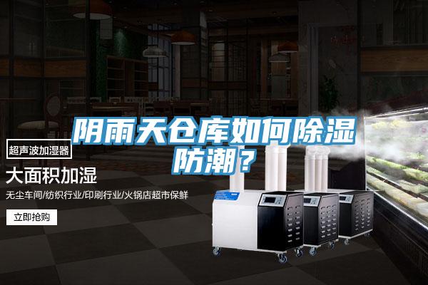 陰雨天倉庫如何除濕防潮？