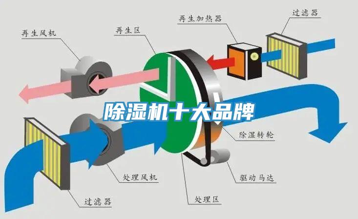 草莓视频污污污污十大品牌