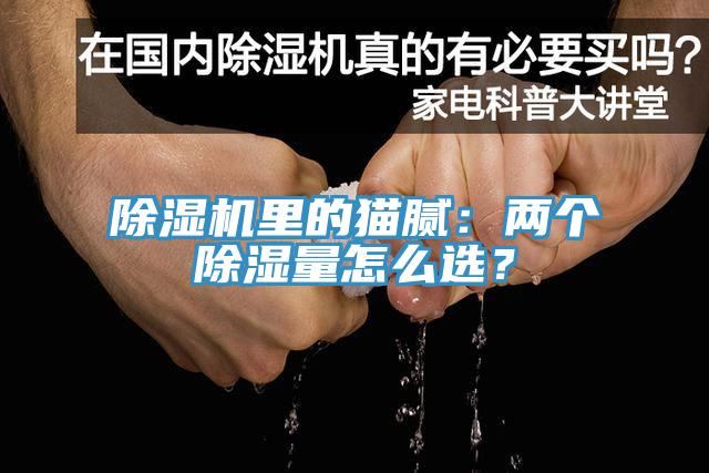 草莓视频污污污污裏的貓膩：兩個除濕量怎麽選？