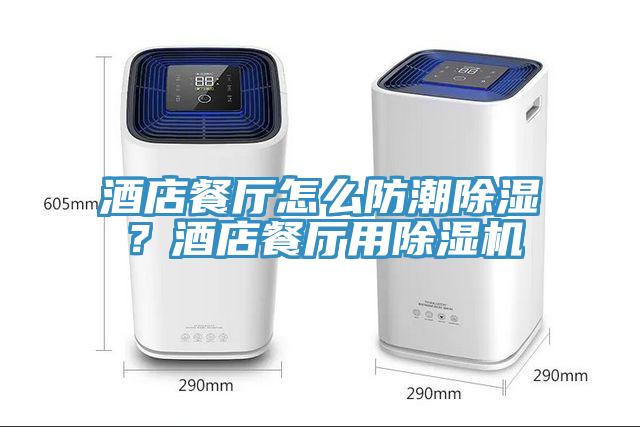 酒店餐廳怎麽防潮除濕？酒店餐廳用草莓视频污污污污