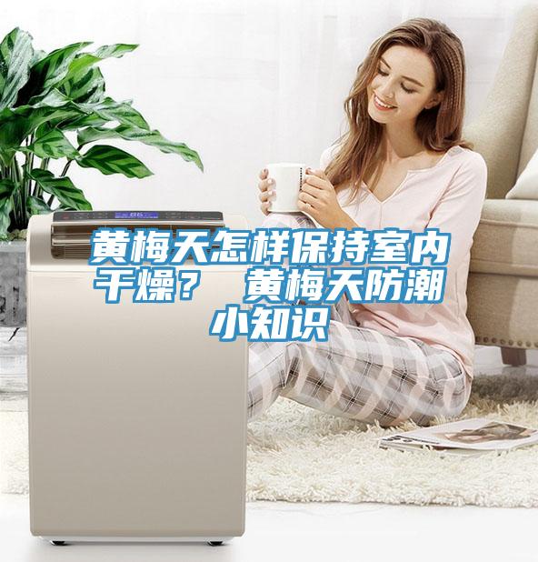 黃梅天怎樣保持室內幹燥？ 黃梅天防潮小知識