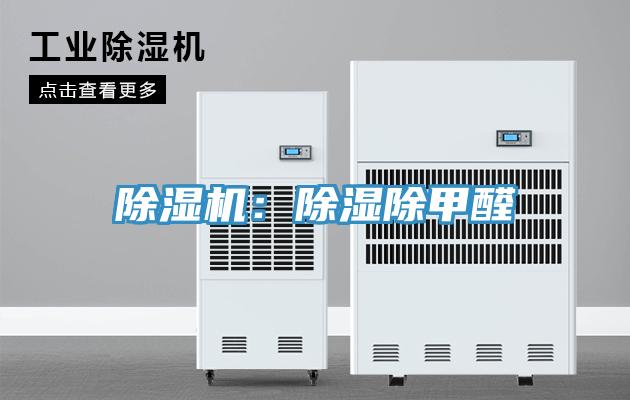 草莓视频污污污污：除濕除甲醛