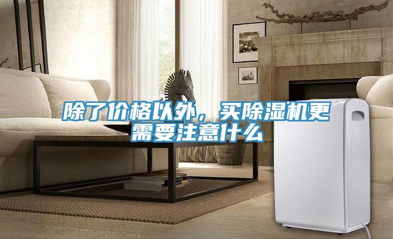 除了價格以外，買草莓视频污污污污更需要注意什麽