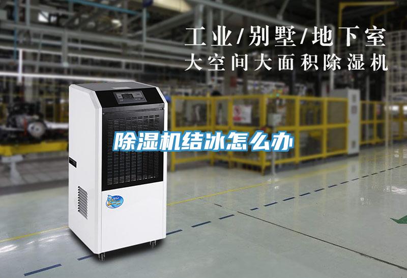 草莓视频污污污污結冰怎麽辦