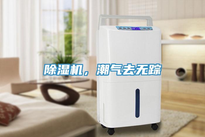 草莓视频污污污污，潮氣去無蹤