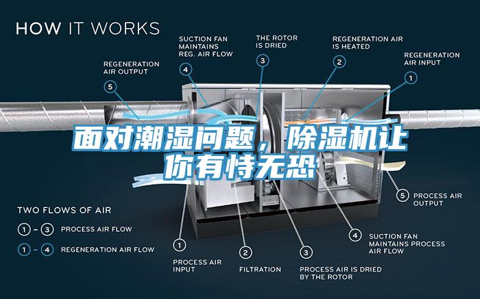 麵對潮濕問題，草莓视频污污污污讓你有恃無恐