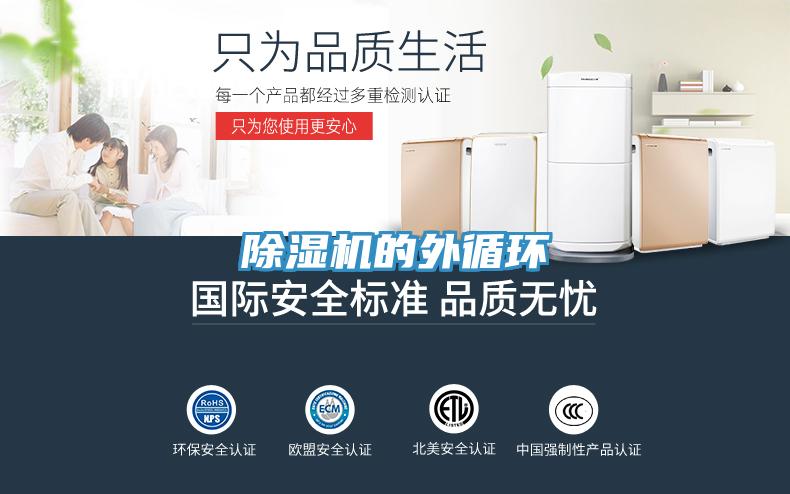 草莓视频污污污污的外循環