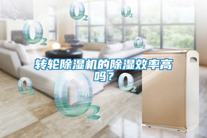 轉輪草莓视频污污污污的除濕效率高嗎？