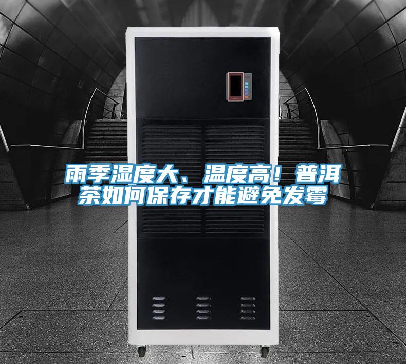 雨季濕度大、溫度高！普洱茶如何保存才能避免發黴