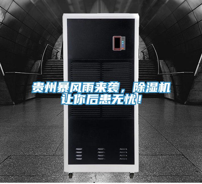 貴州暴風雨來襲，草莓视频污污污污讓你後患無憂！