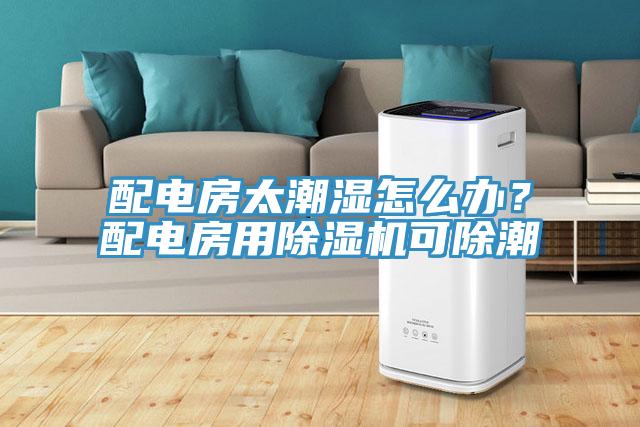 配電房太潮濕怎麽辦？配電房用草莓视频污污污污可除潮