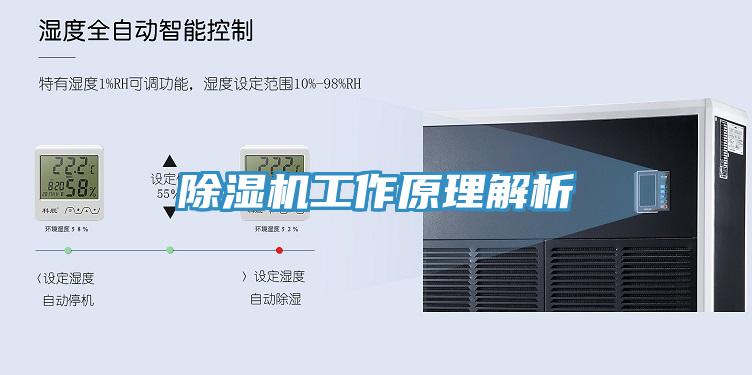 草莓视频污污污污工作原理解析
