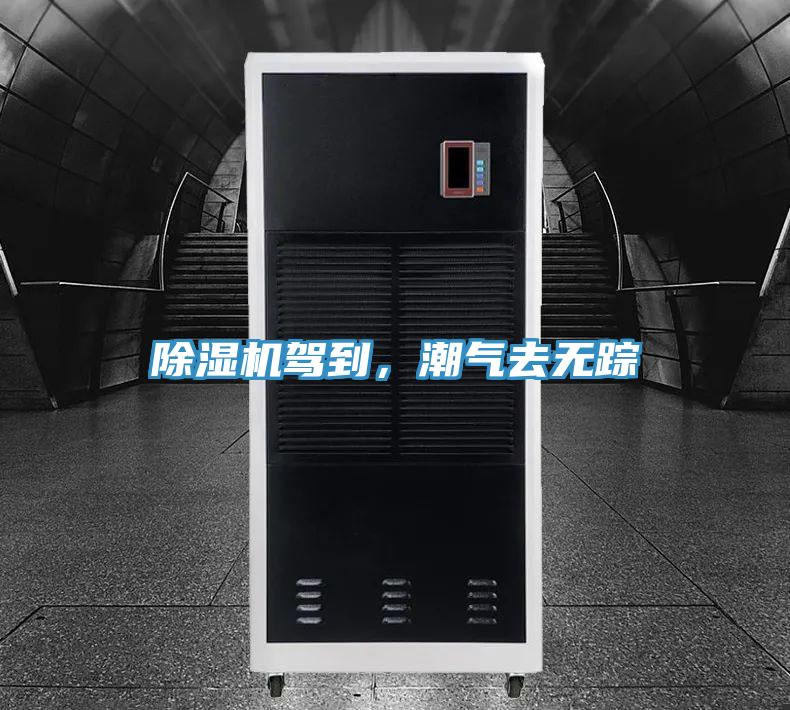 草莓视频污污污污駕到，潮氣去無蹤