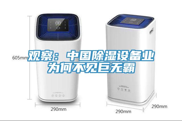 觀察：中國除濕設備業為何不見巨無霸