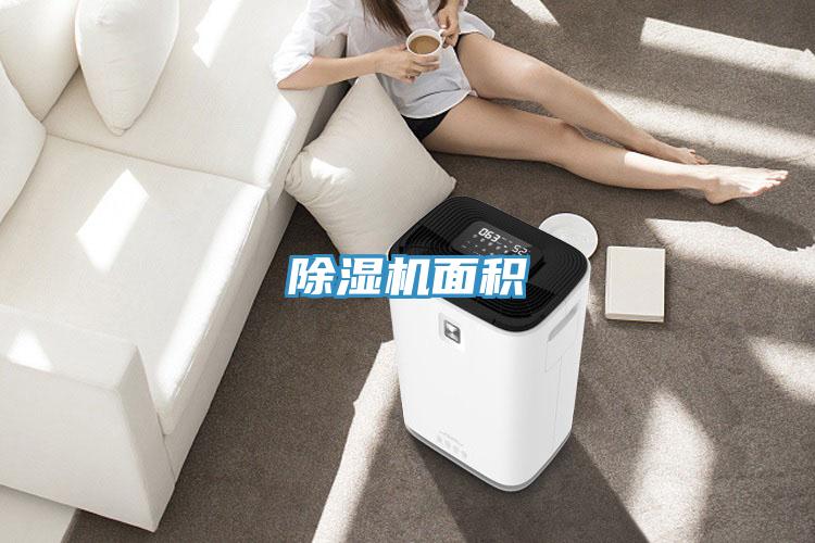 草莓视频污污污污麵積