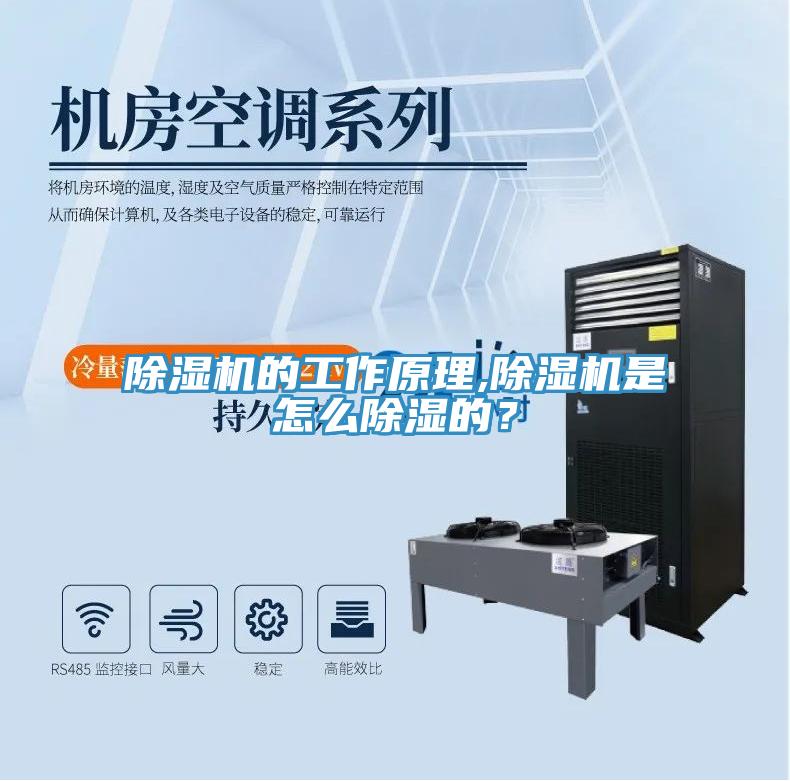 草莓视频污污污污的工作原理,草莓视频污污污污是怎麽除濕的？