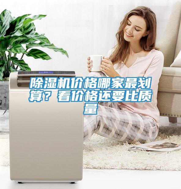 草莓视频污污污污價格哪家最劃算？看價格還要比質量