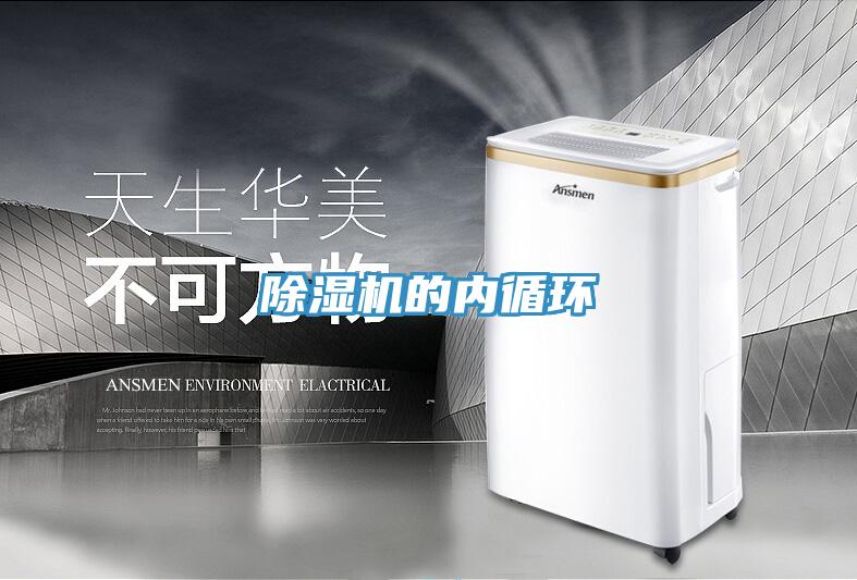 草莓视频污污污污的內循環