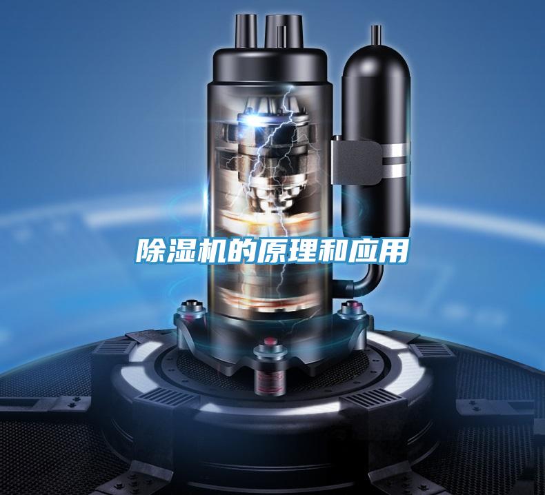 草莓视频污污污污的原理和應用