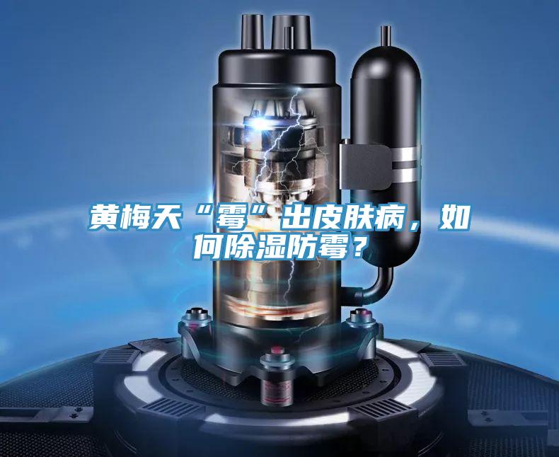 黃梅天“黴”出皮膚病，如何除濕防黴？