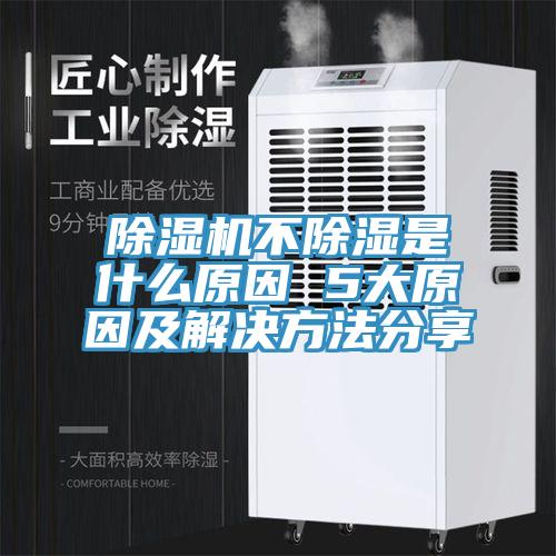 草莓视频污污污污不除濕是什麽原因 5大原因及解決方法分享