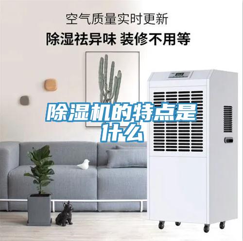 草莓视频污污污污的特點是什麽