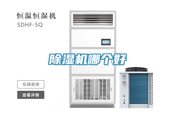 草莓视频污污污污哪個好