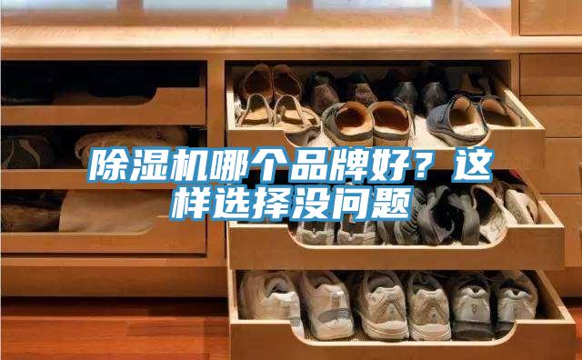 草莓视频污污污污哪個品牌好？這樣選擇沒問題