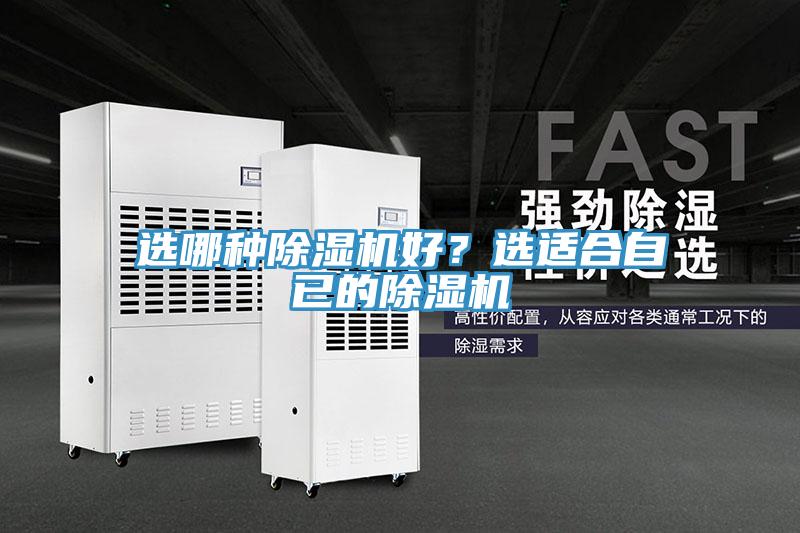 選哪種草莓视频污污污污好？選適合自已的草莓视频污污污污