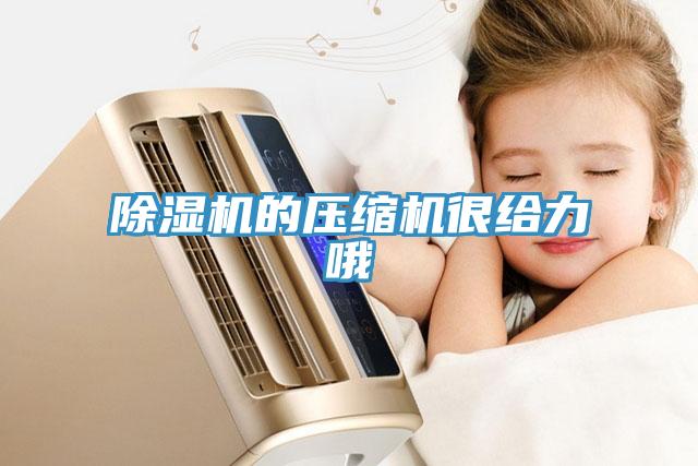 草莓视频污污污污的壓縮機很給力哦