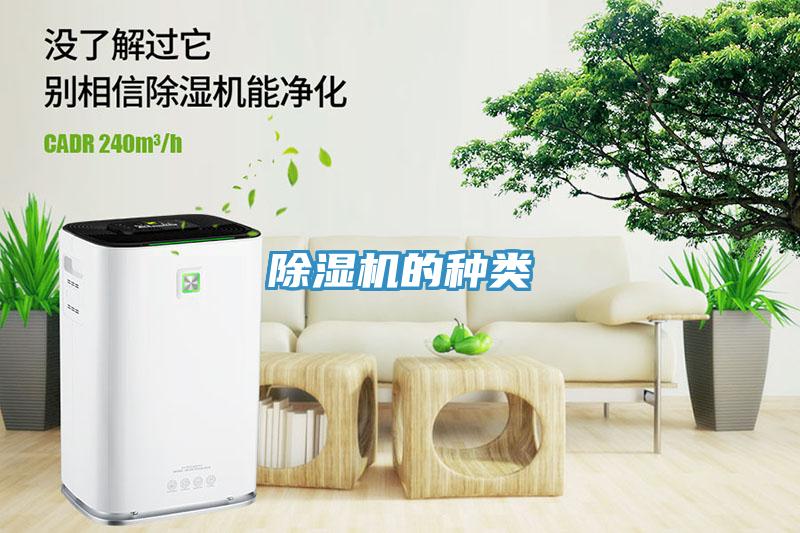 草莓视频污污污污的種類