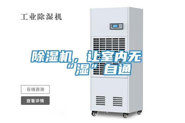 草莓视频污污污污，讓室內無“濕”自通