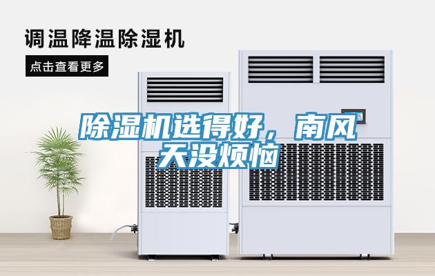 草莓视频污污污污選得好，南風天沒煩惱