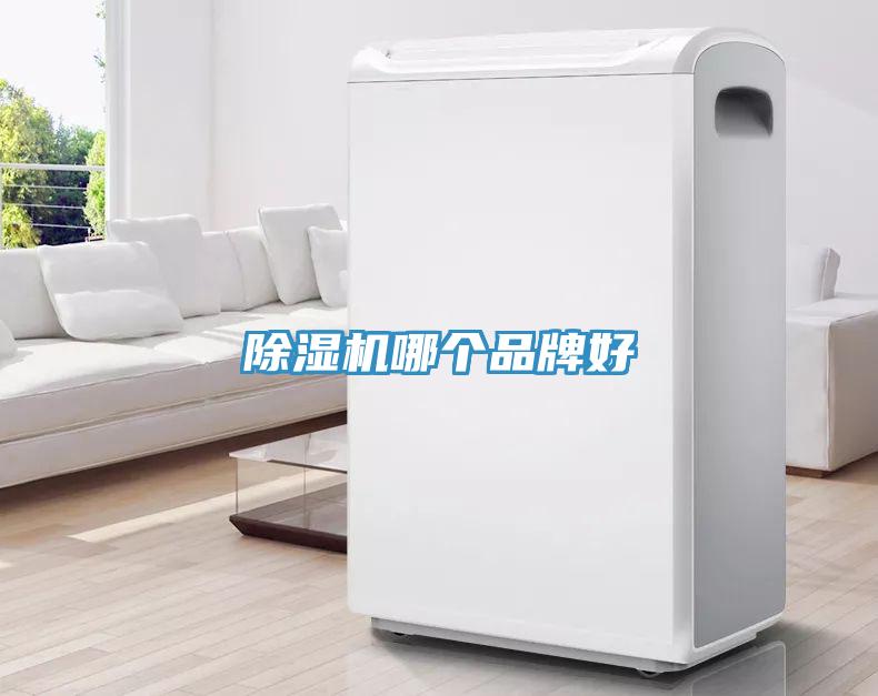 草莓视频污污污污哪個品牌好