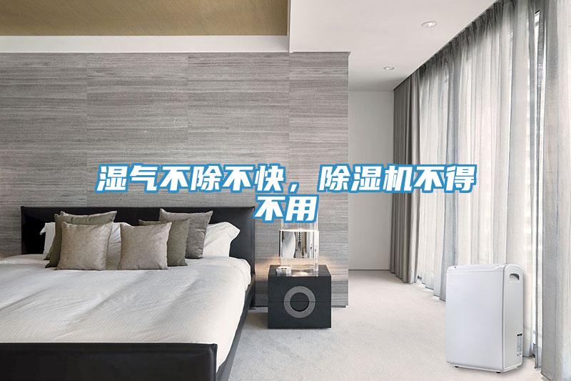 濕氣不除不快，草莓视频污污污污不得不用