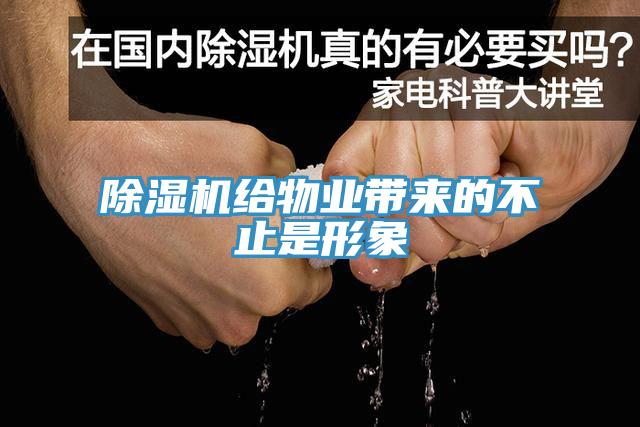 草莓视频污污污污給物業帶來的不止是形象
