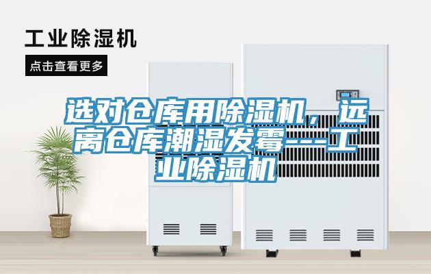 選對倉庫用草莓视频污污污污，遠離倉庫潮濕發黴---工業草莓视频污污污污