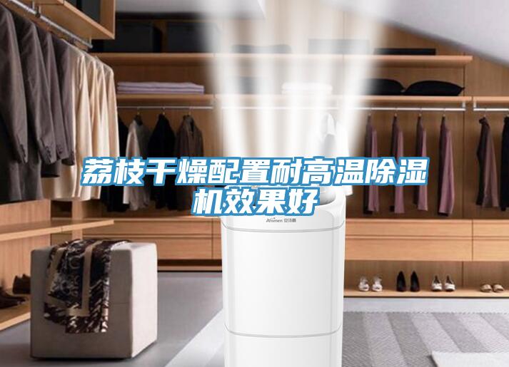 荔枝幹燥配置耐高溫草莓视频污污污污效果好