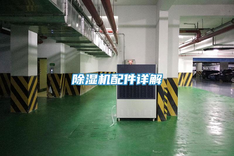 草莓视频污污污污配件詳解