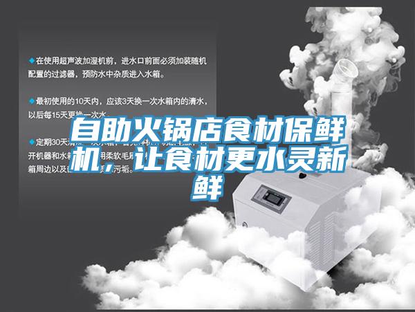 自助火鍋店食材保鮮機，讓食材更水靈新鮮