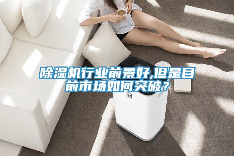 草莓视频污污污污行業前景好,但是目前市場如何突破？
