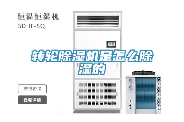 轉輪草莓视频污污污污是怎麽除濕的