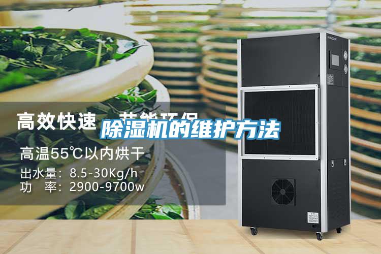 草莓视频污污污污的維護方法
