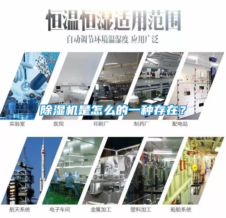 草莓视频污污污污是怎麽的一種存在？