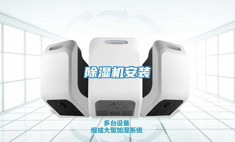 草莓视频污污污污安裝
