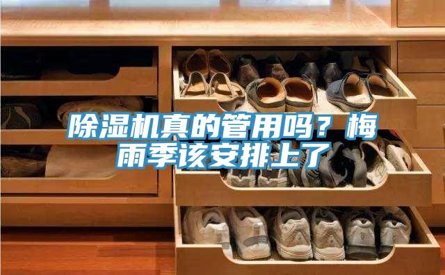 草莓视频污污污污真的管用嗎？梅雨季該安排上了