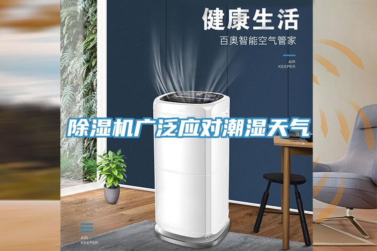 草莓视频污污污污廣泛應對潮濕天氣